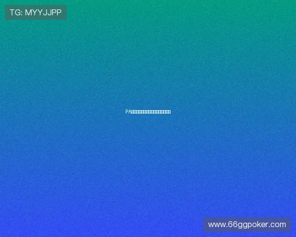 PA百家乐：从初学者到高手的成长之路